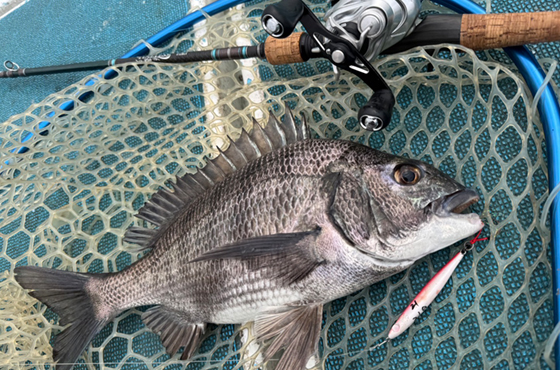 Search Rocket（サーチロケット）