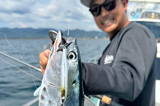 Search Rocket（サーチロケット）