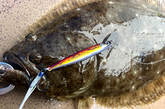 Search Rocket(サーチロケット)